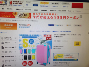 共同購入サイト・ネットプライスでも売れる!