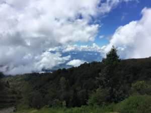チェンマイに癒やされ旅行・・・の巻！