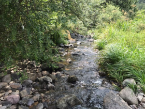 義烏の山のほうで地鶏を食す・・・の巻!